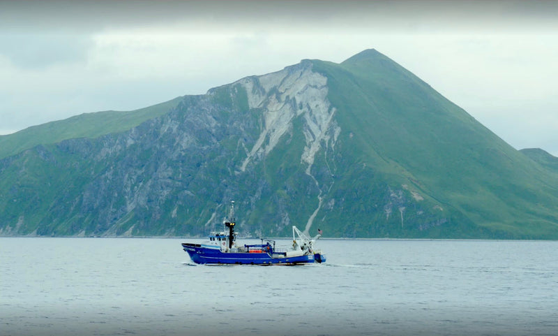 Wild Alaska Pollock fishing vessel at sea, representing Alaska’s commitment to sustainably managed fisheries that protect resources for future generations.