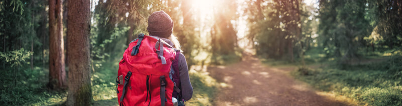 Woman hiking in the forest