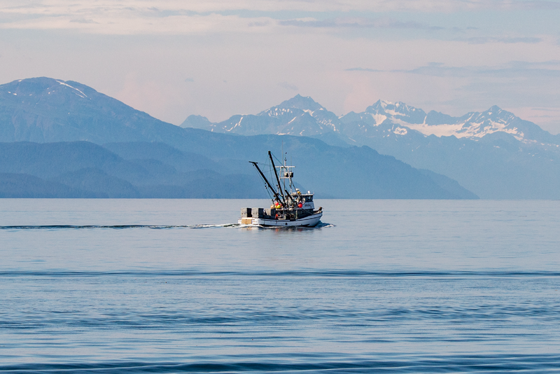 Wild Alaska Pollock Fishery, a Marine Stewardship Council (MSC) certified sustainable fishery