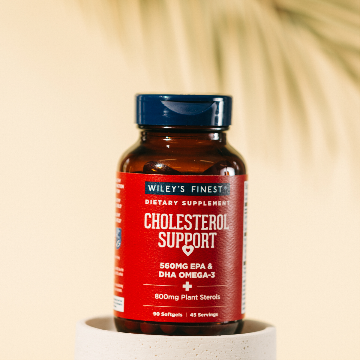 Cholesterol Support