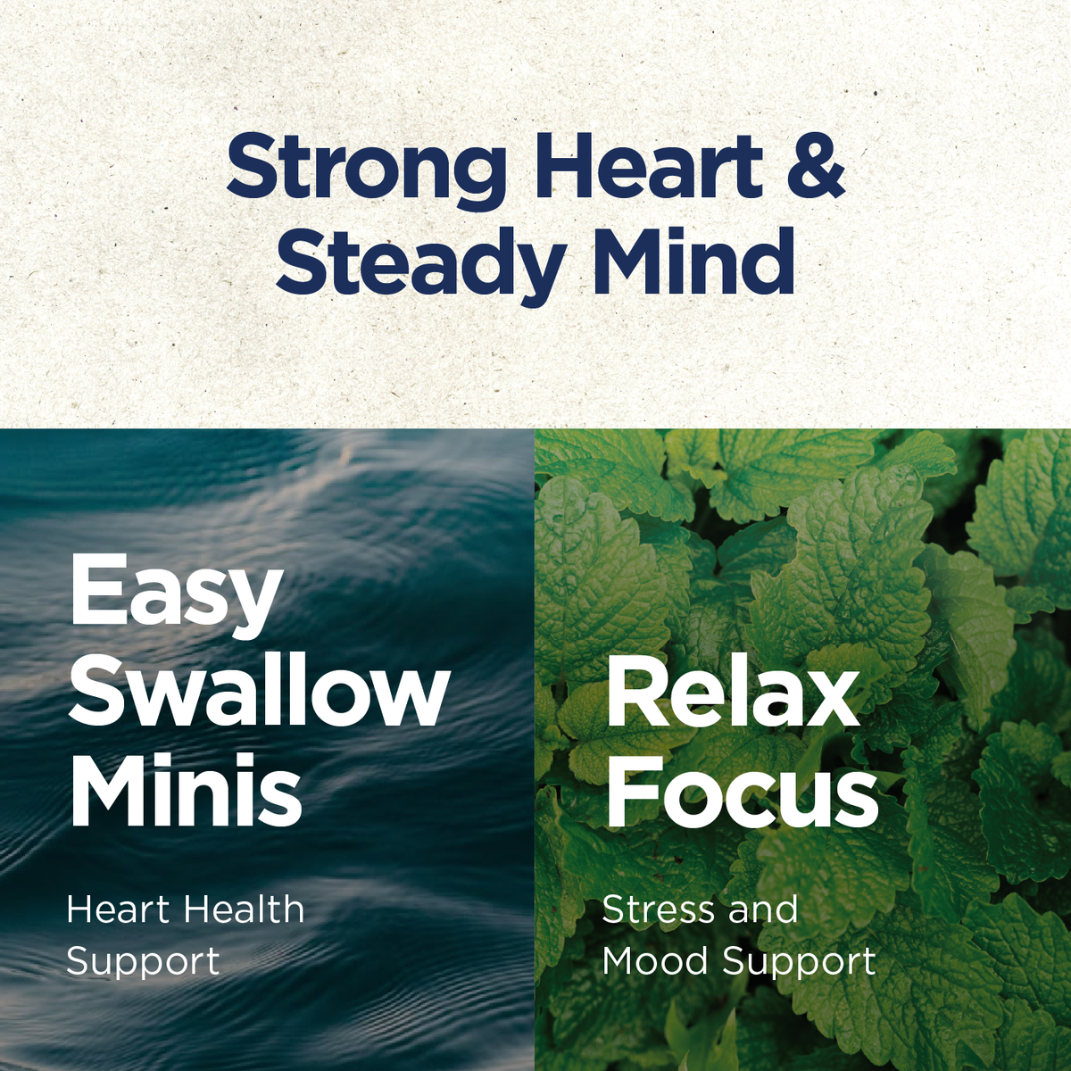 Easy Swallow Omega-3 & Stress Support Bundle