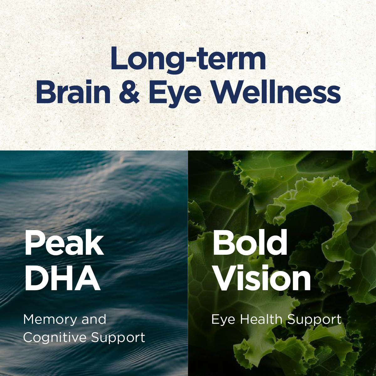 Brain & Eye Support Bundle