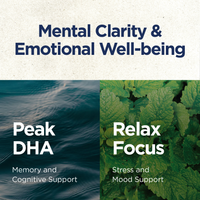 Stress & Cognitive Support Bundle