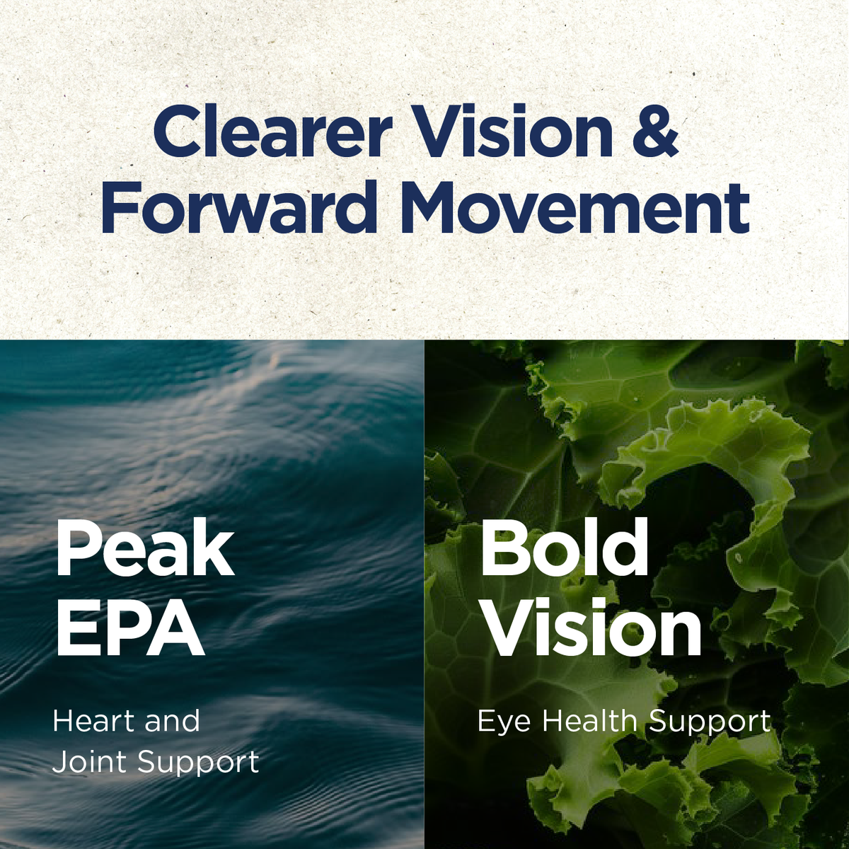 Omega-3 & Vision Support Bundle