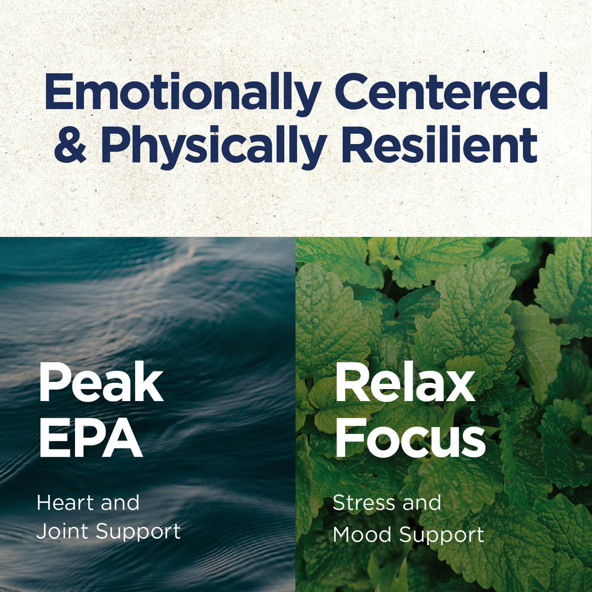 Omega-3 & Stress Support Bundle